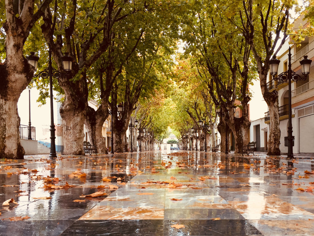 Paseo Cervantes de Berja en otoño