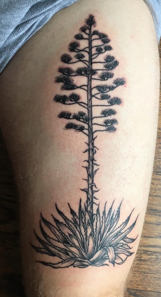 tatuajes almerienses de una pita de Cabo de Gata