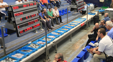 pescadores de Almería