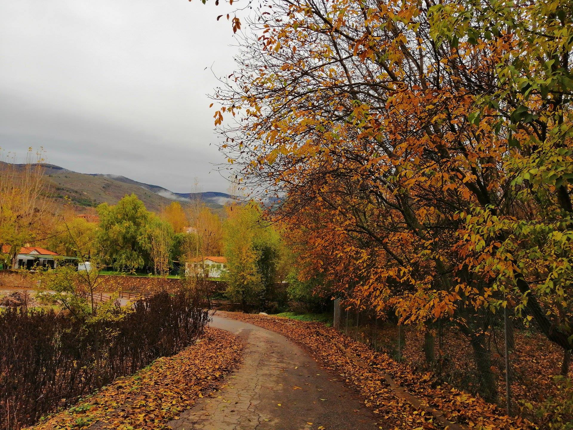 fondón en otoño