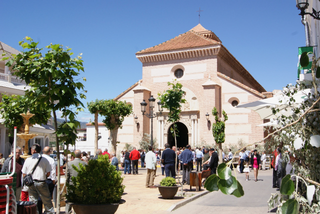 Fiestas de Fiñana