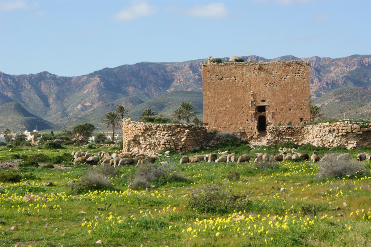 La Torre de los Alumbres