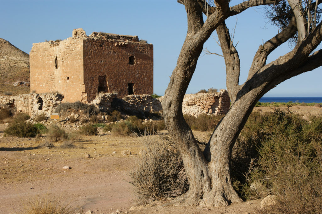 Torre de los alumbres