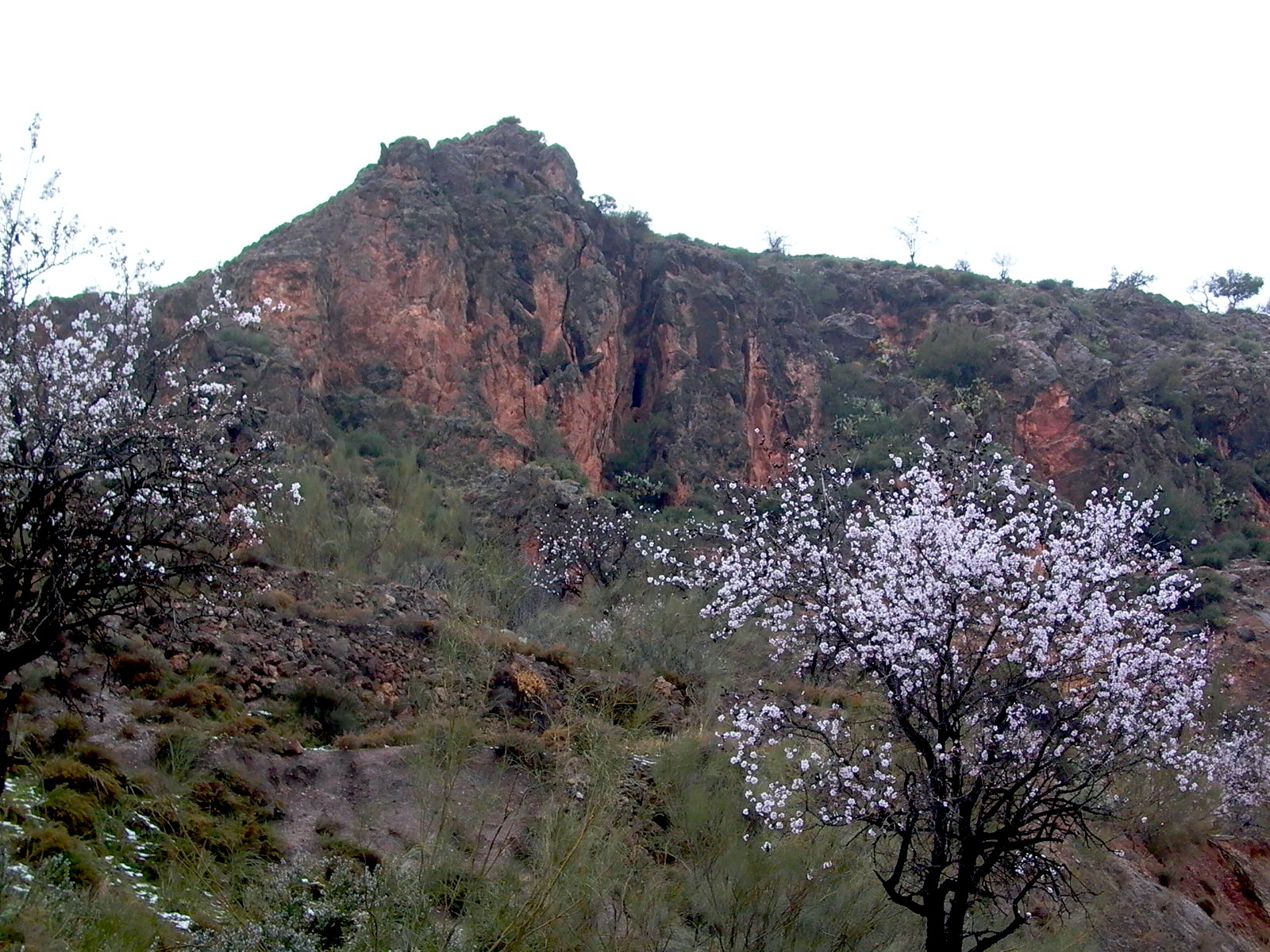 La Cueva de Nieles