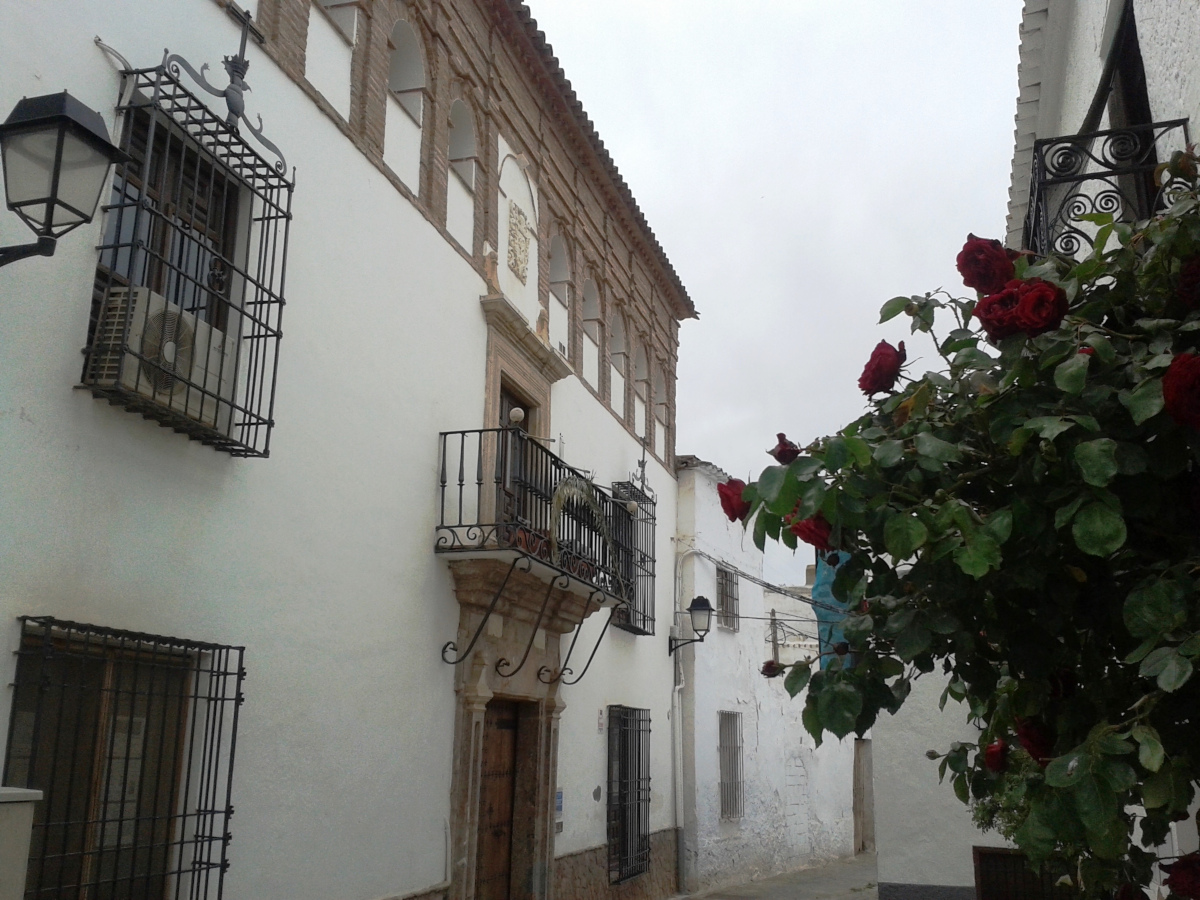 Casa Palacio de las Godoyas