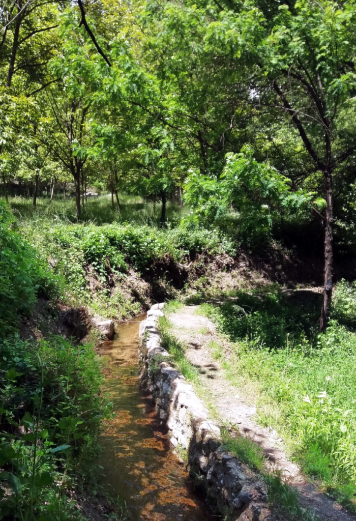 acequia tejera