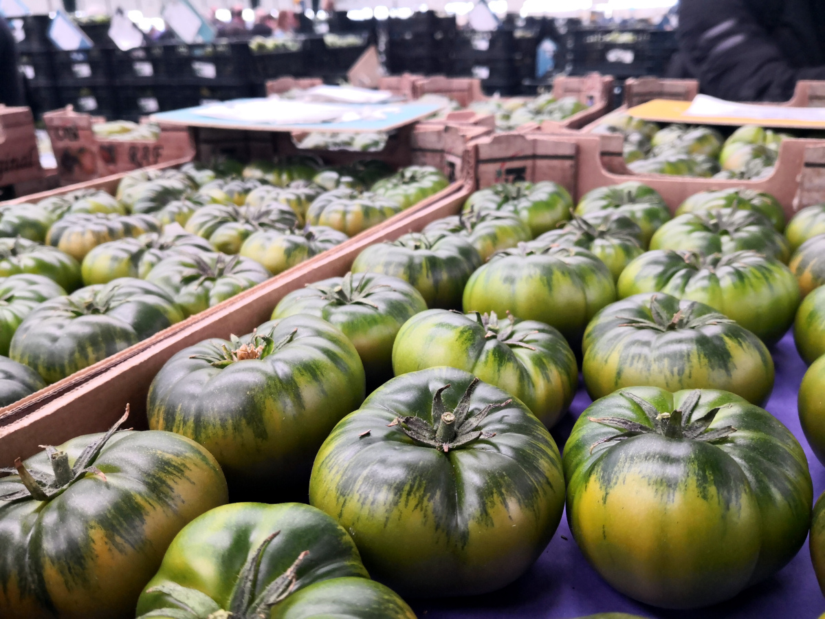 Tomate de Almería