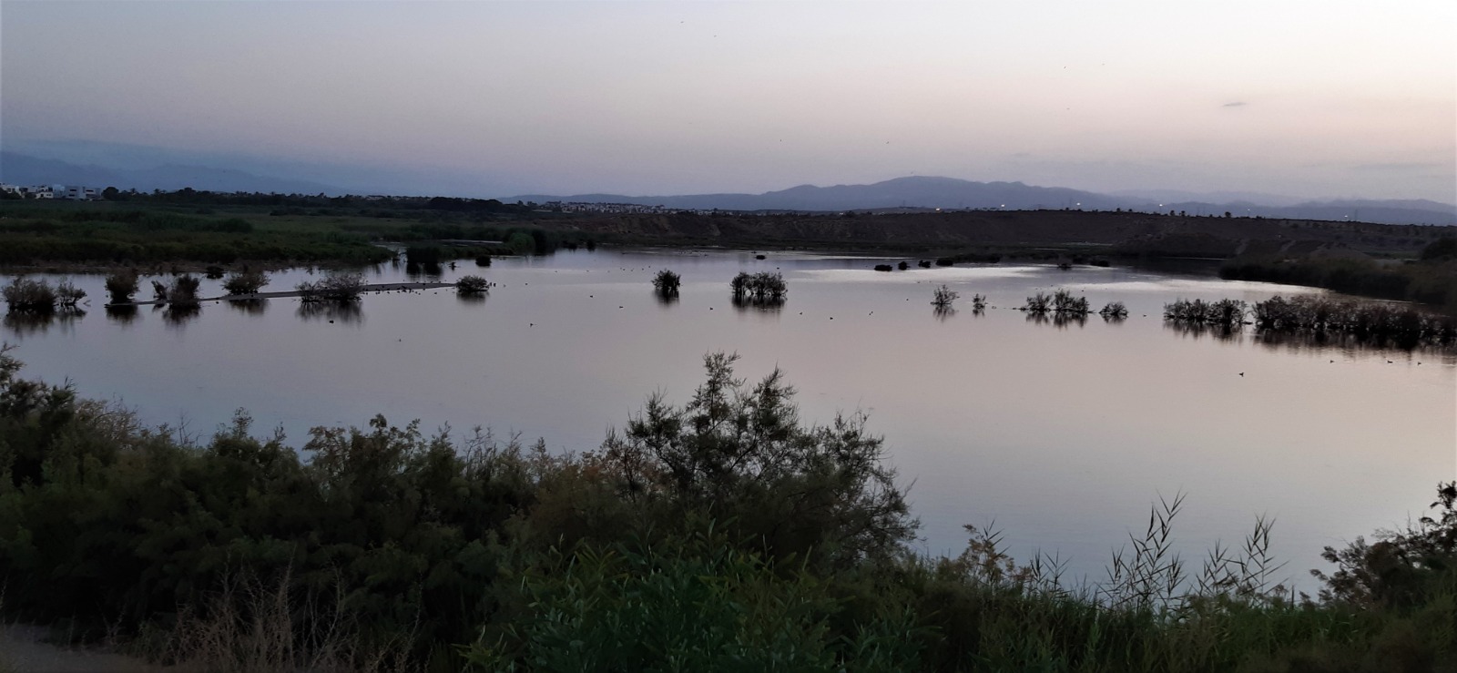 Salar de los Canos