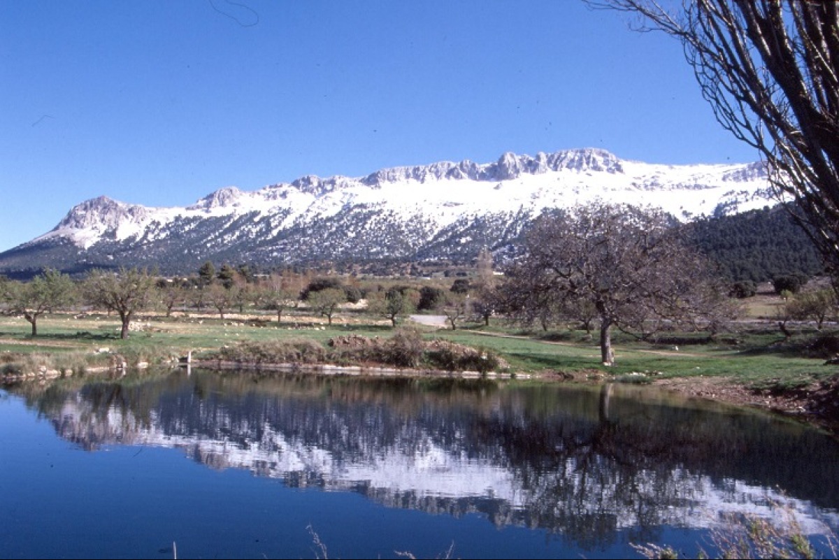 Balsaín, María