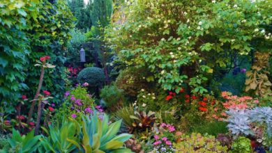 la-almunya-del-sur-almería